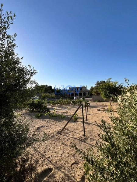 Satış  otaqlı Torpaq  2400m², Bakı