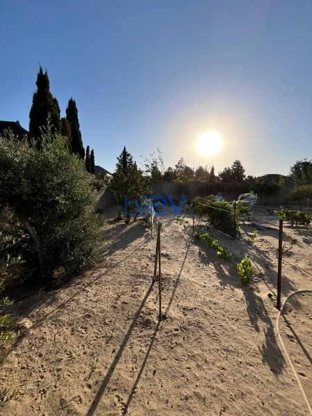 Satış  otaqlı Torpaq  2400m², Bakı