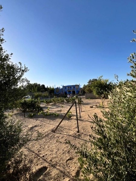 Satış  otaqlı Torpaq  2400m², Bakı