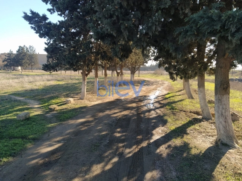 Satış 0 otaqlı Torpaq  10500m², Bakı