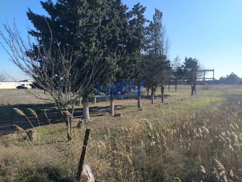 Satış 0 otaqlı Torpaq  10500m², Bakı
