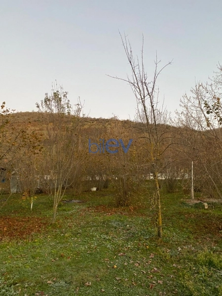 Satış  otaqlı Torpaq  700m², Qəbələ