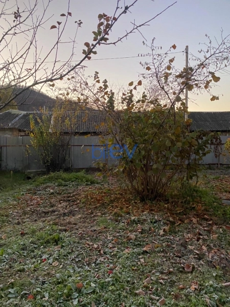 Satış  otaqlı Torpaq  700m², Qəbələ