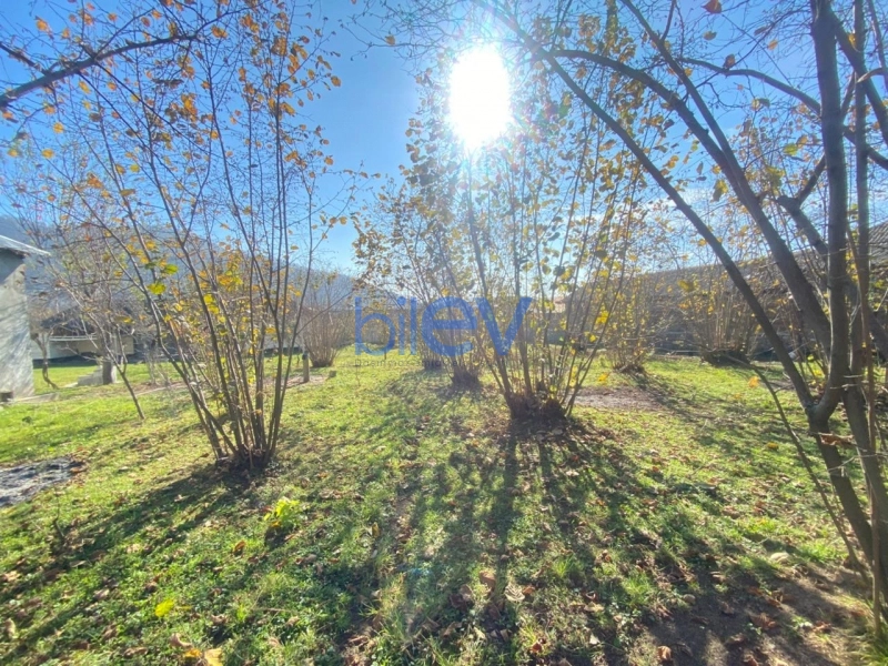 Satış  otaqlı Torpaq  700m², Qəbələ