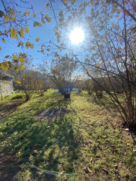 Satış  otaqlı Torpaq  700m², Qəbələ