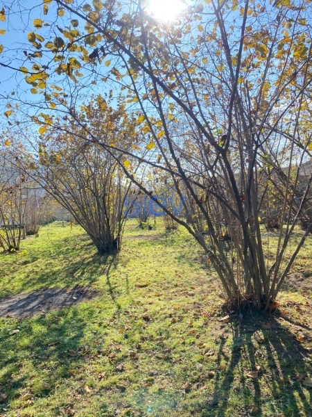 Satış  otaqlı Torpaq  700m², Qəbələ