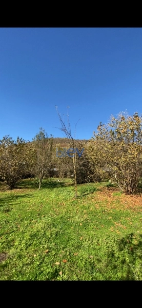 Satış  otaqlı Torpaq  700m², Qəbələ