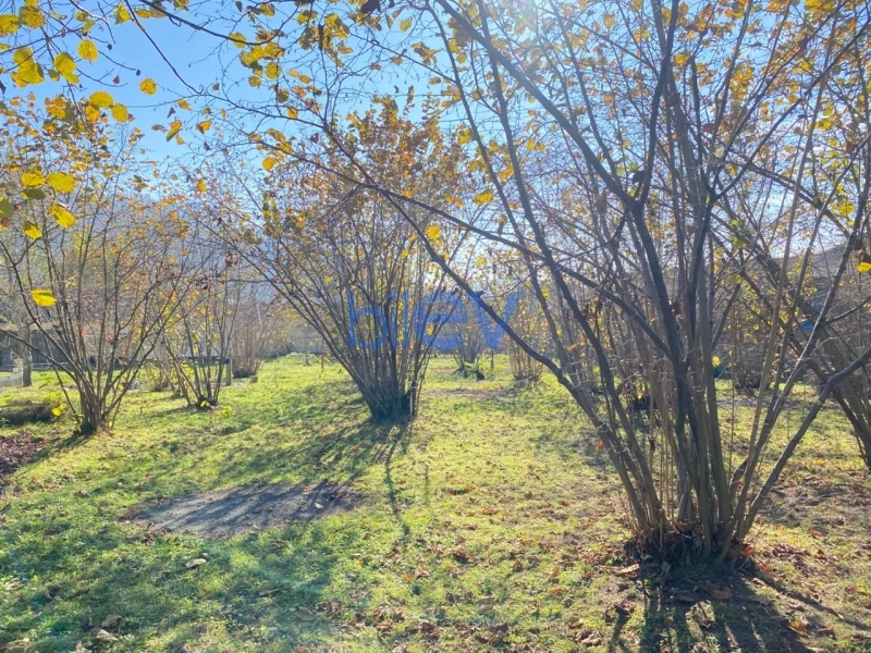Satış  otaqlı Torpaq  700m², Qəbələ