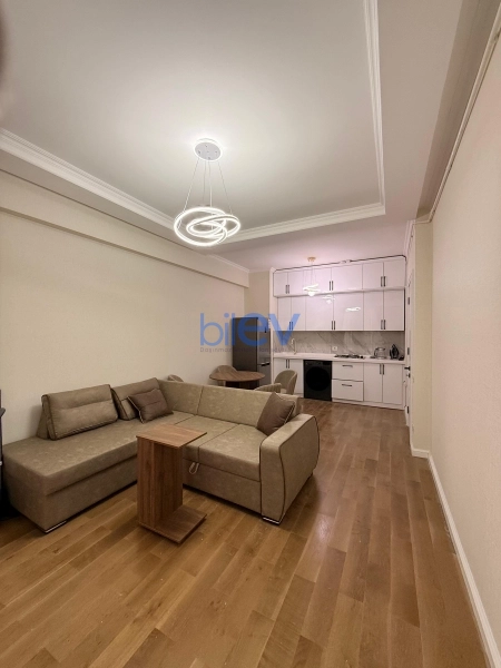 Aylıq Kirayə 2 otaqlı Yeni Tikili bina evi  55m², Bakı