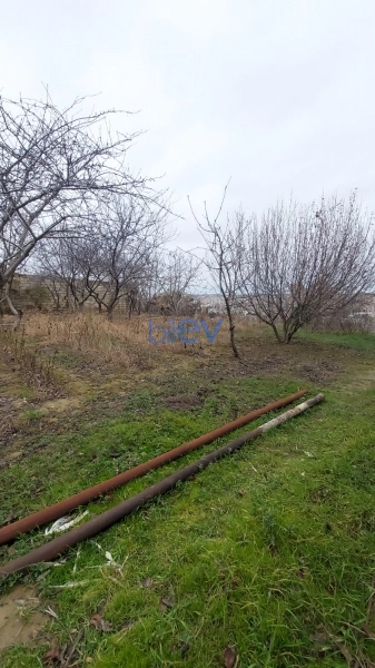 Satış 6 otaqlı Torpaq  1600m², Bakı
