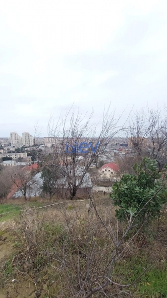 Satış 6 otaqlı Torpaq  1600m², Bakı