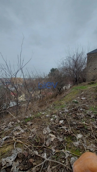 Satış 6 otaqlı Torpaq  1600m², Bakı