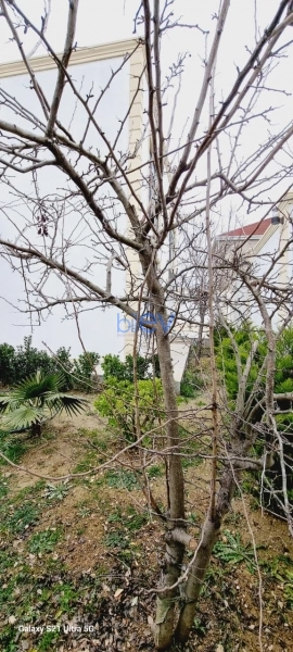 Satış 4 otaqlı Həyət evi  240m², Bakı