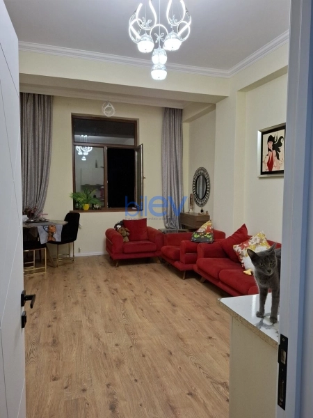 Satış 2 otaqlı Yeni Tikili bina evi  53.00m², Bakı