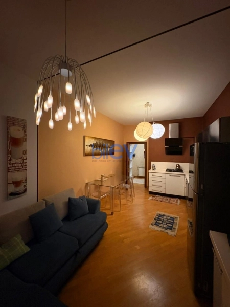 Aylıq Kirayə 4 otaqlı Yeni Tikili bina evi  190m², Bakı