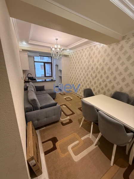 Aylıq Kirayə 2 otaqlı Yeni Tikili bina evi  60m², Bakı