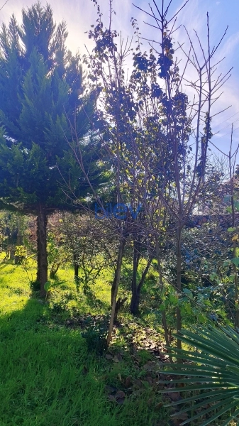 Satış 4 otaqlı Həyət evi  200m², Lənkəran