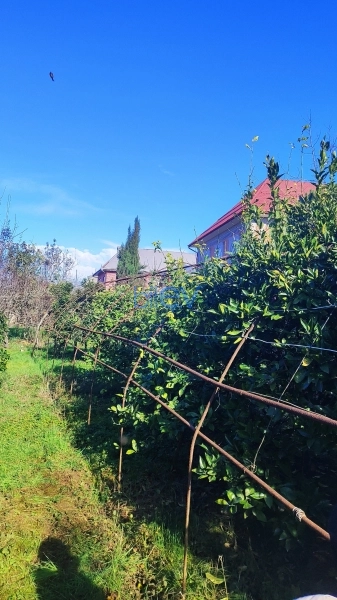 Satış 4 otaqlı Həyət evi  200m², Lənkəran