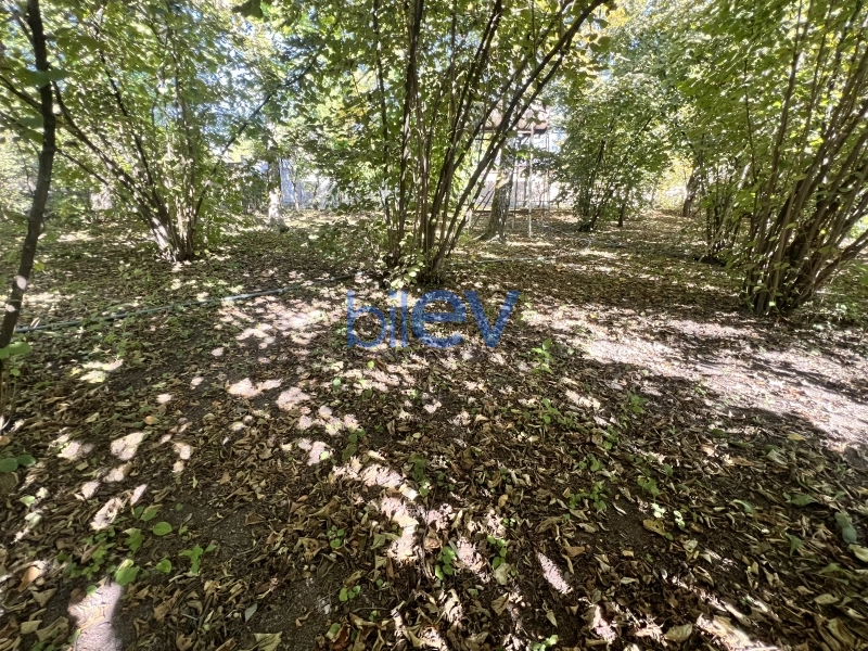 Satış  otaqlı Torpaq  20m², Qəbələ