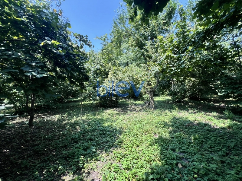 Satış  otaqlı Torpaq  20m², Qəbələ
