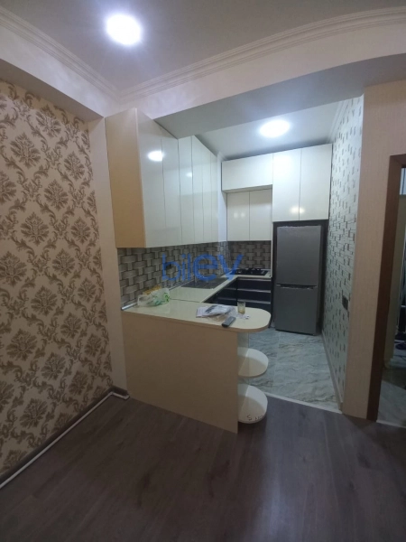 Aylıq Kirayə 2 otaqlı Yeni Tikili bina evi  55m², Bakı