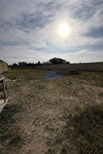 Satış  otaqlı Torpaq  2500m², Bakı