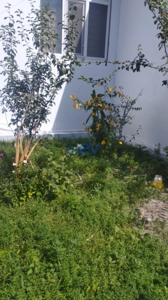 Günlük Kirayə 3 otaqlı Həyət evi  80m², Qəbələ