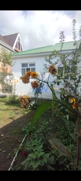 Günlük Kirayə 3 otaqlı Həyət evi  80m², Qəbələ