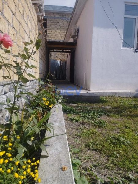 Günlük Kirayə 3 otaqlı Həyət evi  80m², Qəbələ
