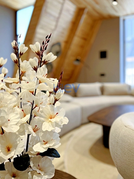Günlük Kirayə  otaqlı Aframe  120m², Qəbələ