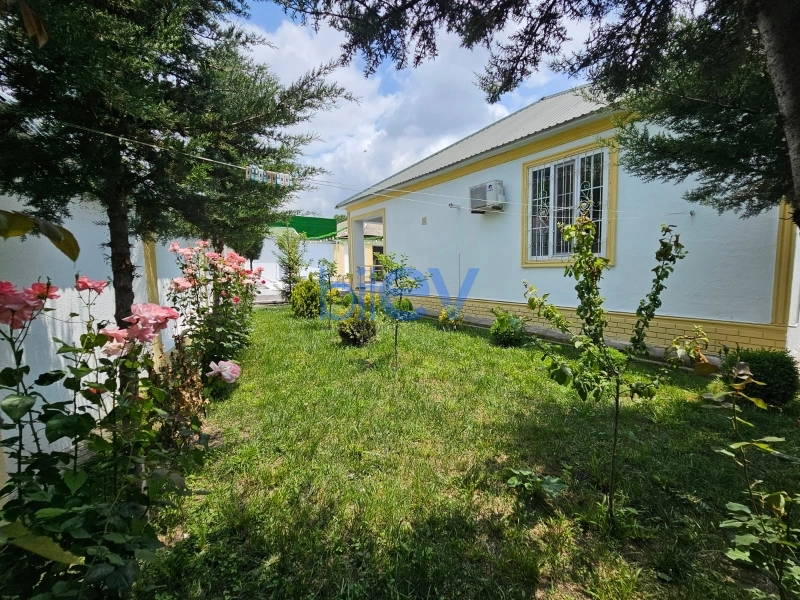 Günlük Kirayə 3 otaqlı Həyət evi  90m², Qəbələ