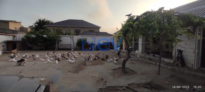 Satış 8 otaqlı Həyət evi  700m², Bakı