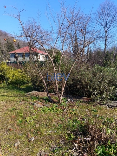 Satış 4 otaqlı Həyət evi  150m², Lənkəran