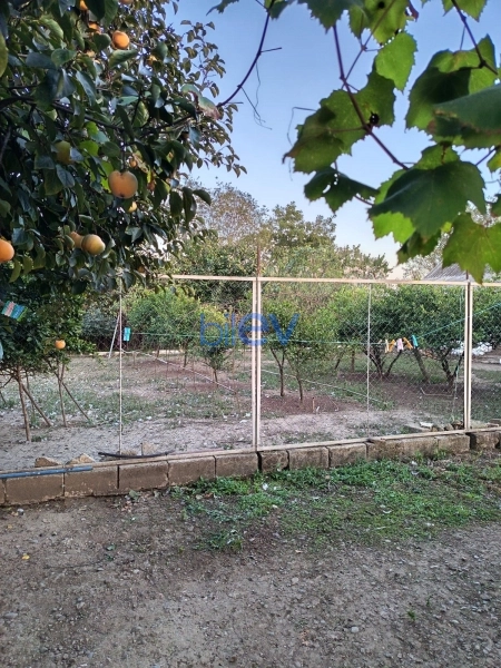 Satış 3 otaqlı Həyət evi  100m², Lənkəran