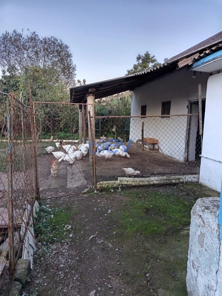 Satış 3 otaqlı Həyət evi  100m², Lənkəran