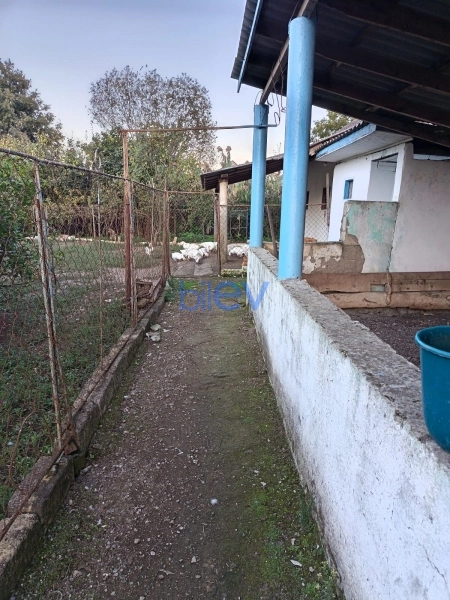 Satış 3 otaqlı Həyət evi  100m², Lənkəran