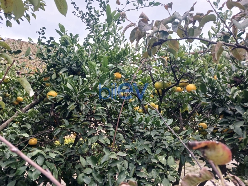Satış 4 otaqlı Həyət evi  120m², Lənkəran