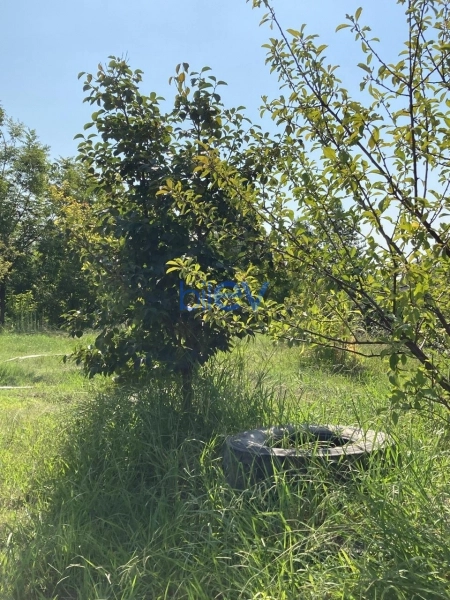 Satış 3 otaqlı Həyət evi  120m², Lənkəran
