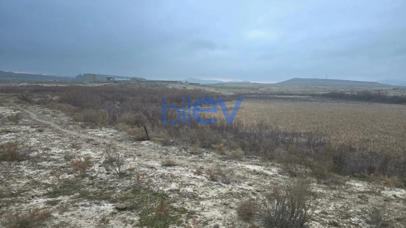 Satış  otaqlı Torpaq  506m², Bakı