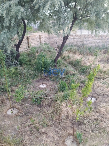 Satış 3 otaqlı Həyət evi  125m², Bakı