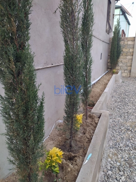 Satış 3 otaqlı Həyət evi  125m², Bakı