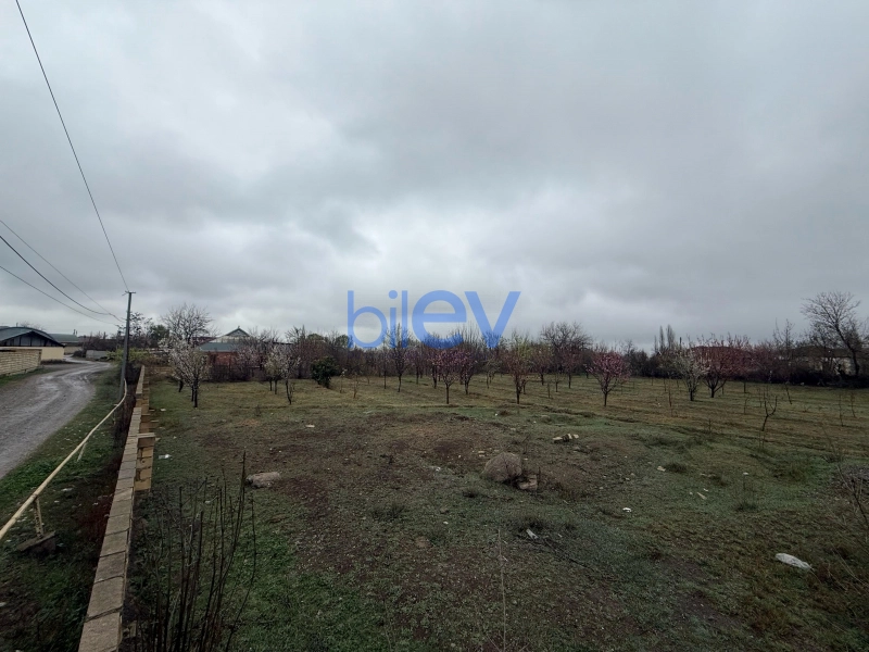 Satış 2 otaqlı Torpaq  4000m², Tərtər