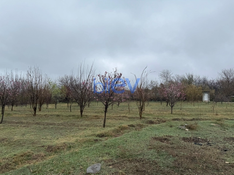 Satış 2 otaqlı Torpaq  4000m², Tərtər