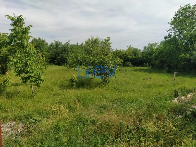 Satış 2 otaqlı Torpaq  4000m², Tərtər