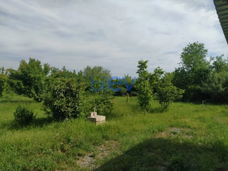 Satış 2 otaqlı Torpaq  4000m², Tərtər