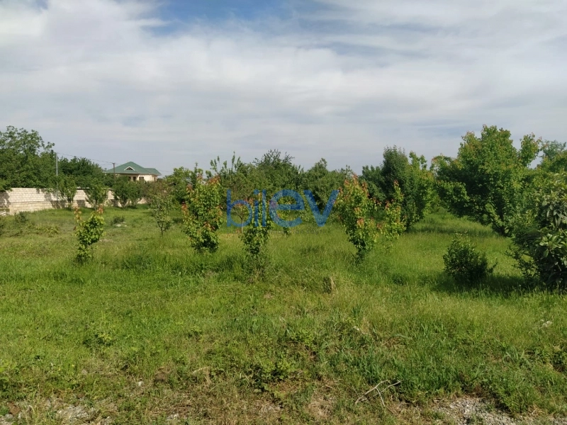 Satış 2 otaqlı Torpaq  4000m², Tərtər