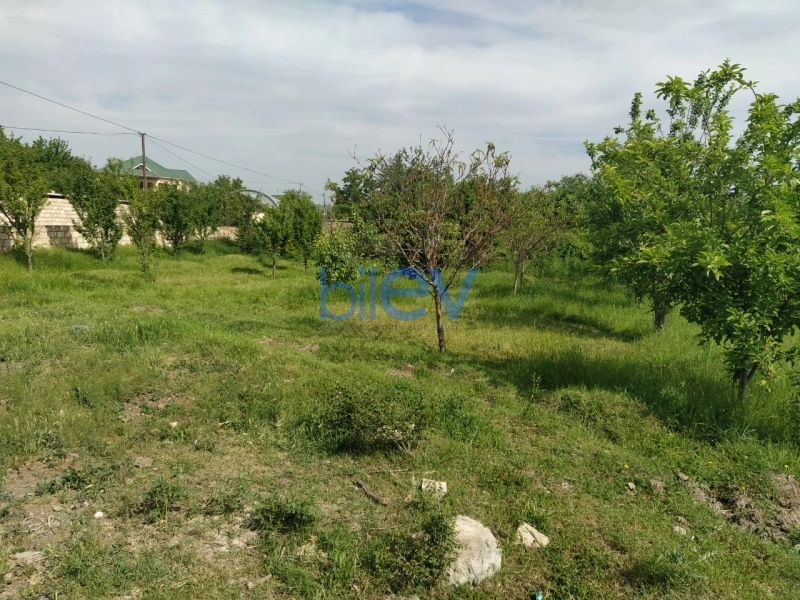 Satış 2 otaqlı Torpaq  4000m², Tərtər