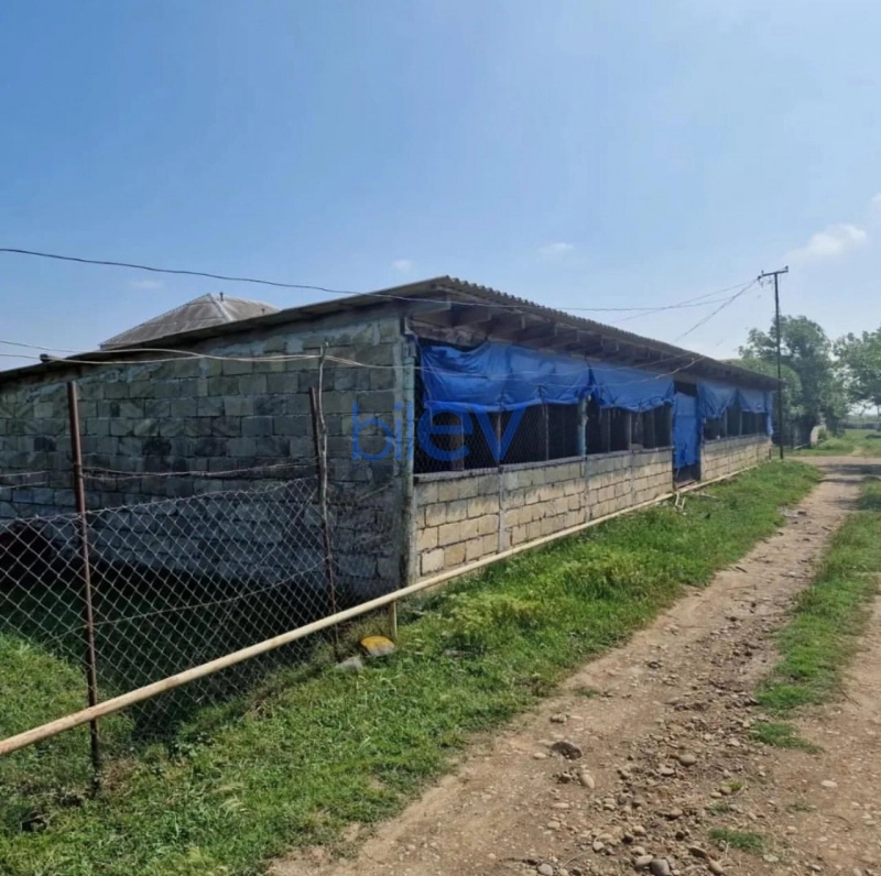 Satış 4 otaqlı Həyət evi  150m², Lənkəran