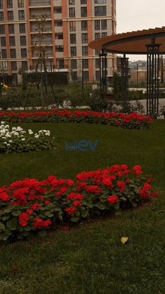 Satış 3 otaqlı Yeni Tikili bina evi  85m², Bakı