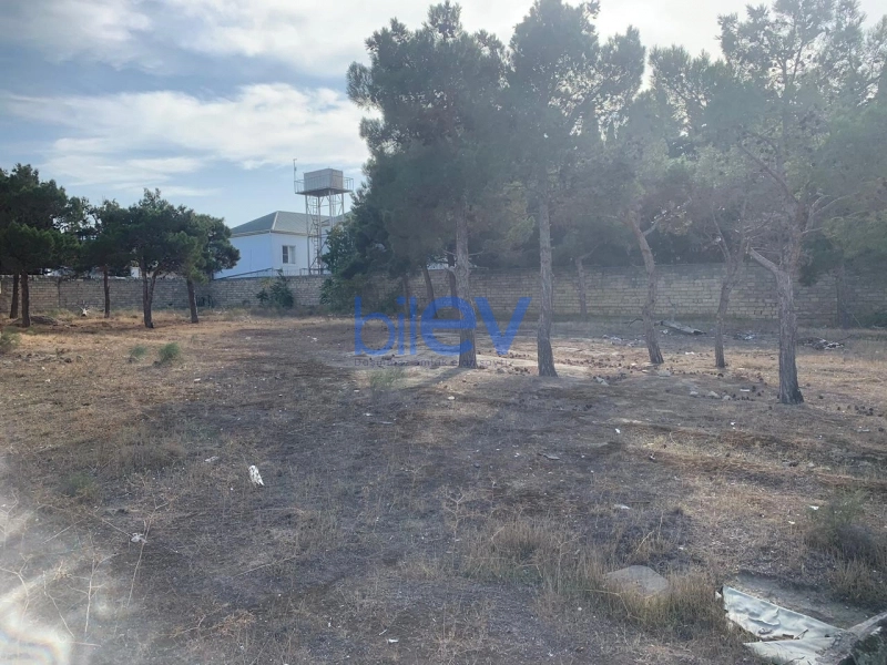 Satış 0 otaqlı Torpaq  2100m², Bakı